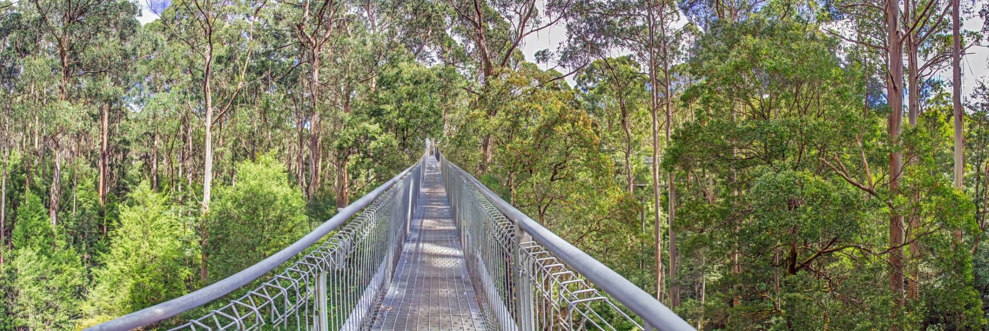 Australian Landscape