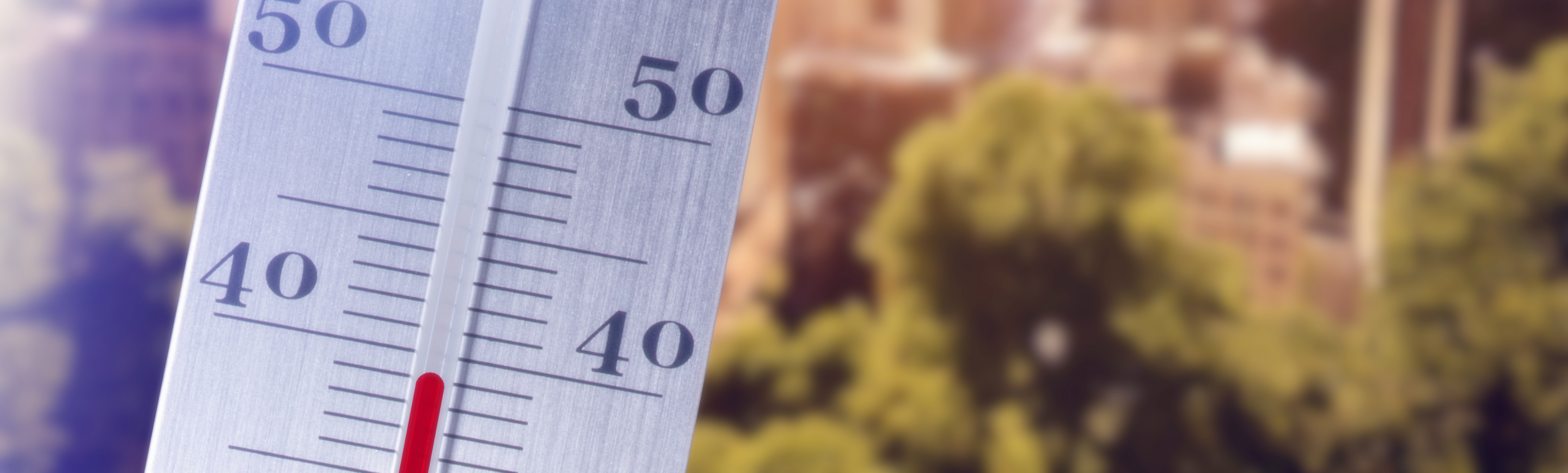 Preparing Nature & Society for a Hotter World