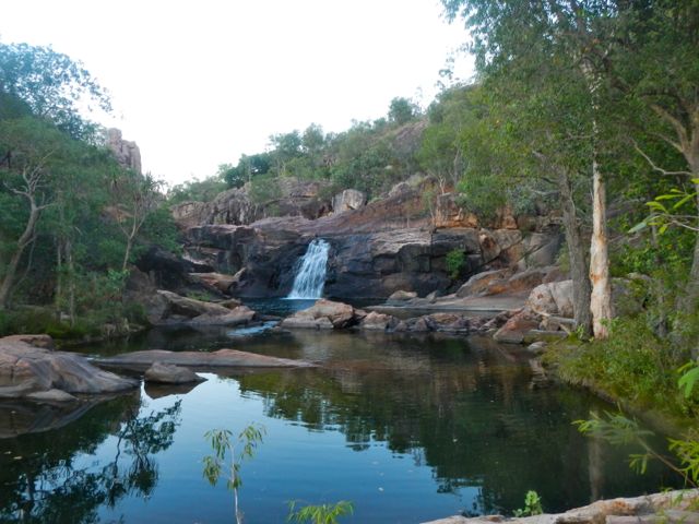 Freshwater habitat Freshwater habitat