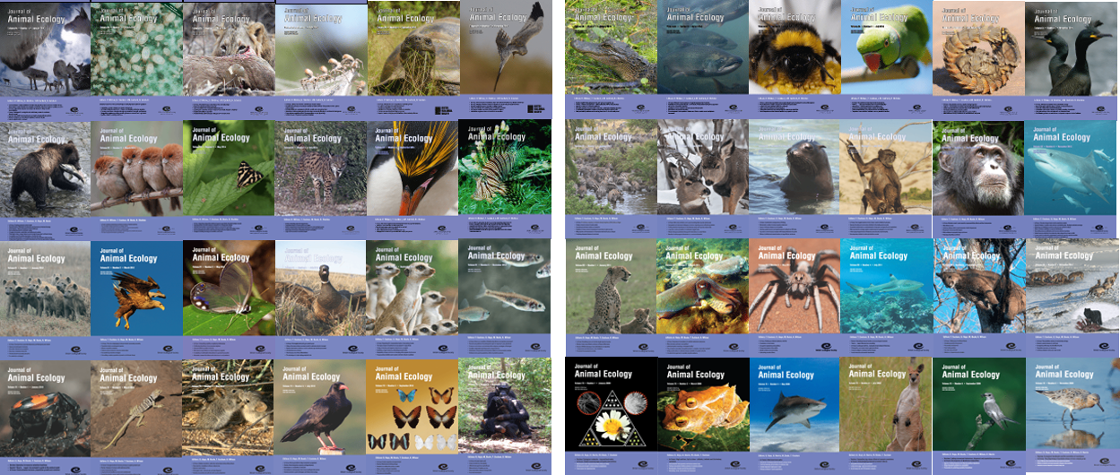 Journal of Animal Ecology