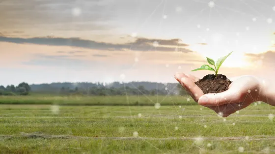 Climate and Biodiversity Futures