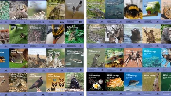 Journal of Animal Ecology