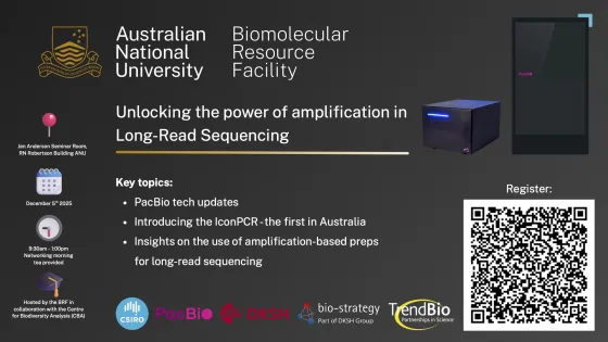 Unlocking the power of amplification in Long-Read Sequencing