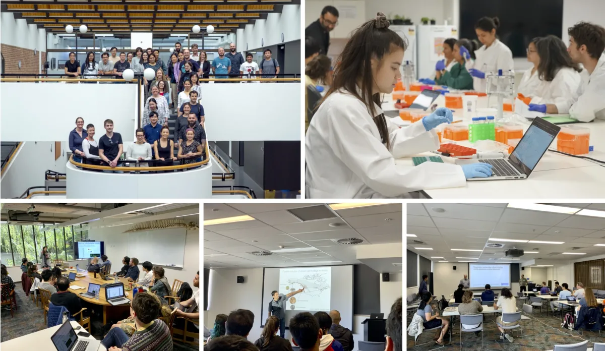 Workshops