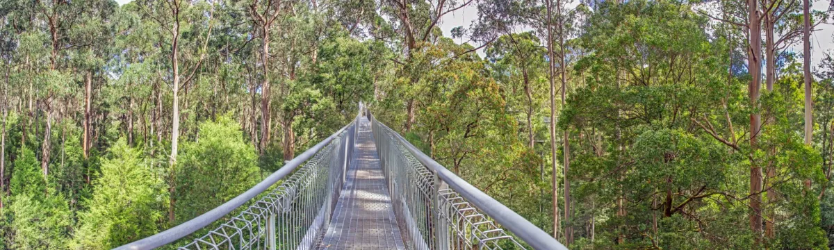 Australian Landscape