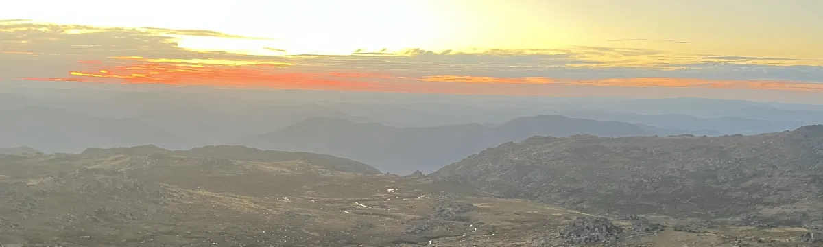 Bogong Moth Summit