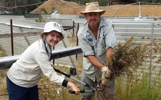Honours project: Will polyploidy provide reproductive advantage in a changing climate? Honours project: Will polyploidy provide reproductive advantage in a changing climate?