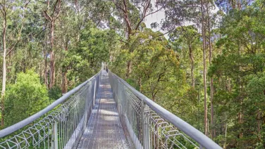 Australian Landscape