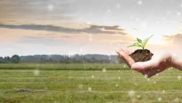 Climate and Biodiversity Futures