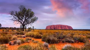 Uluru-Kata Tjuta National Park, beau - stock.adobe.com