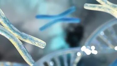 Chromosomes