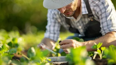 Scientist studying plants