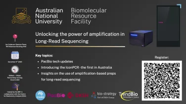 Unlocking the power of amplification in Long-Read Sequencing